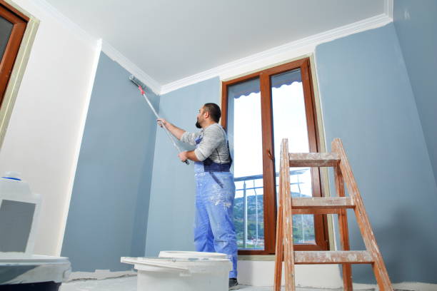 Best Ceiling Drywall Installation  in Penn Valley, CA