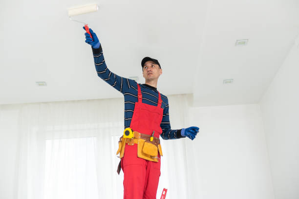 Best Eco-Friendly and Low-VOC Painting  in Penn Valley, CA